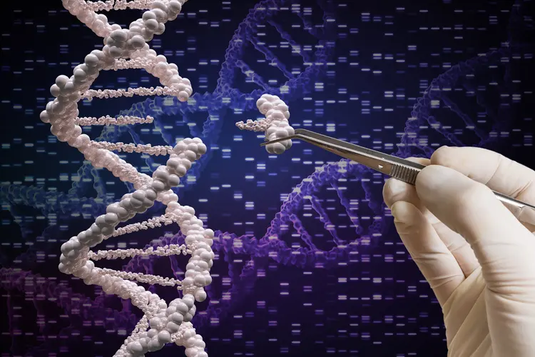 Japan Tightens Rules On Genome Editing (News Central TV)