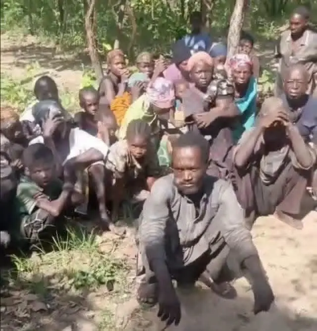 Kaduna Abductors Threaten, Starve, Rape Captives – Amnesty (News Central TV)