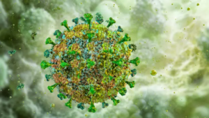 Lassa Fever Death Toll Hits 252, 1,035 Cases - NCDC (NewsCentral TV)
