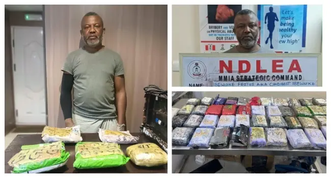 NDLEA Arrests Fugitive Kingpin After Two Years (NewsCentral TV)