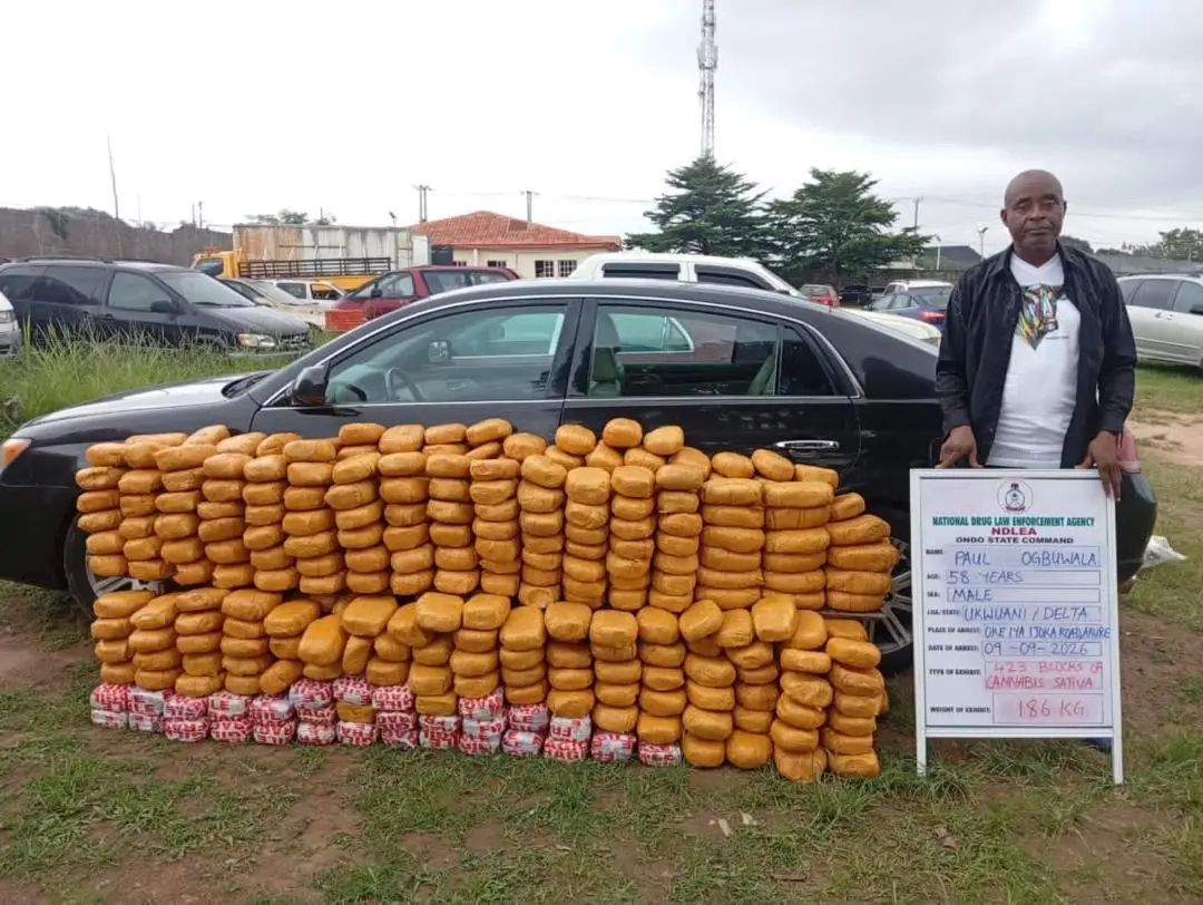 NDLEA Seizes 44kg Colorado From UK Shipments (News Central TV)
