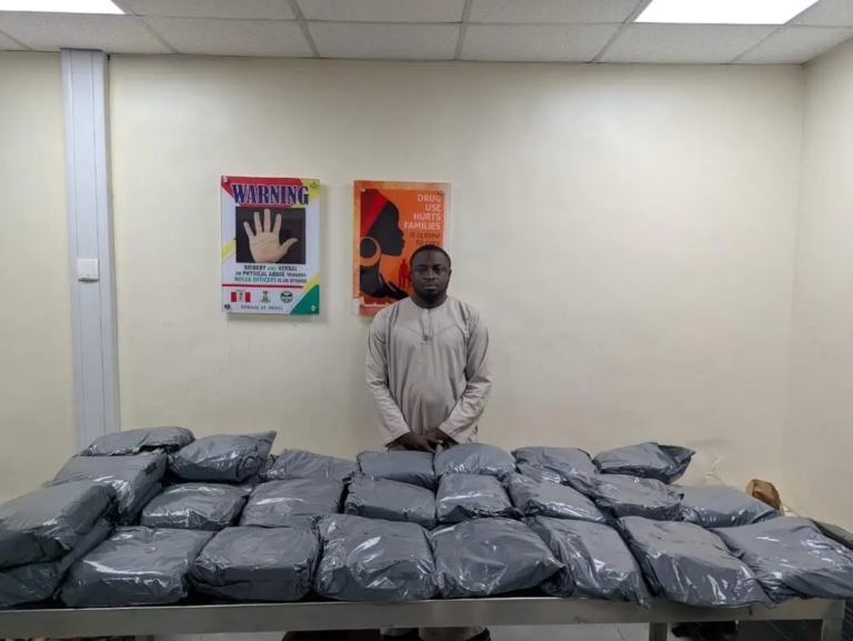 NDLEA Intercepts 44kg ‘Colorado’ From UK Shipments
