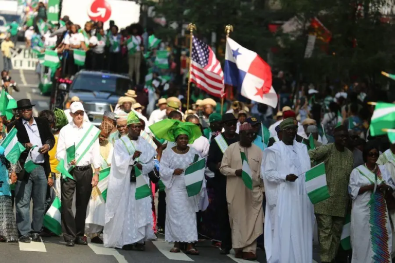 Nigerians in Diaspora Demand Voting Rights