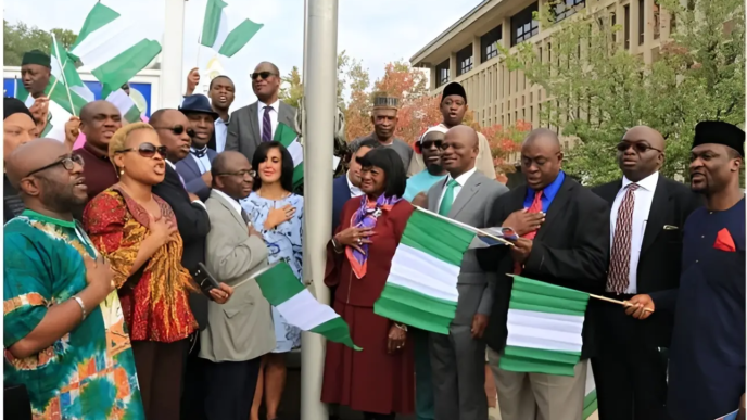 Akintemi Challenges Nigerians Abroad Over Civic Engagement (NewsCentral TV)