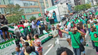 Nigerians in Diaspora (NC) 1