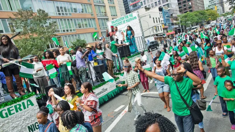 Akintemi Challenges Nigerians Abroad Over Civic Engagement