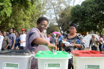 NIDO Demands Diaspora Voting Action (NewsCentral TV)