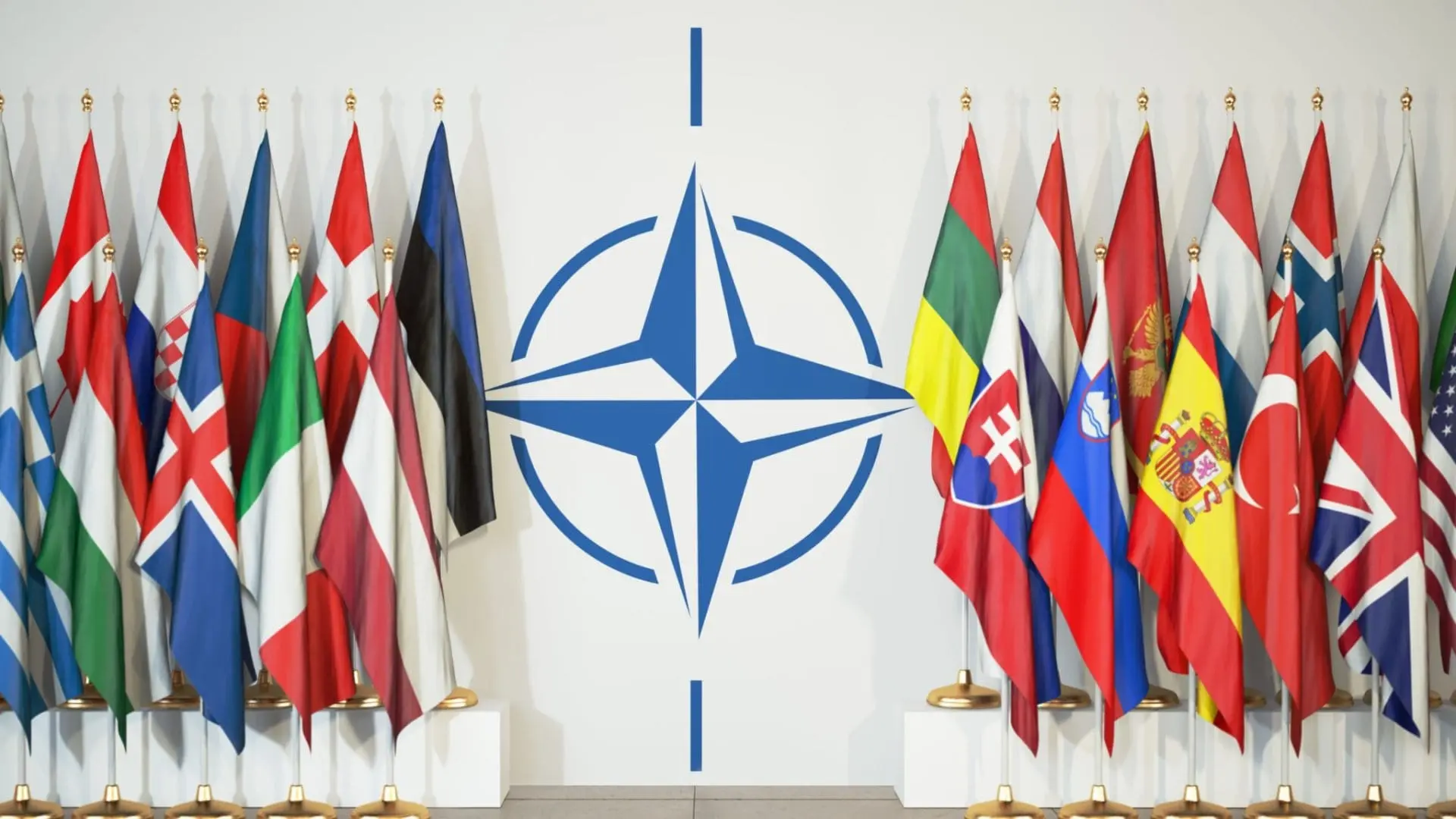 North Atlantic Treaty Organisation (NATO)
