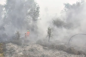 Respiratory Problems Climb Past 170,000 Cases In Haze-Hit Indonesia