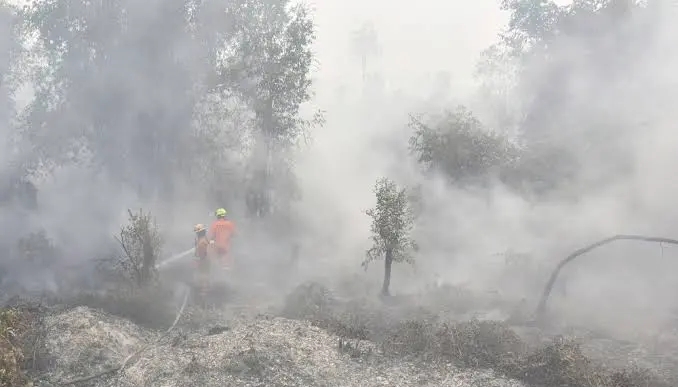 Respiratory Problems Climb Past 170,000 Cases In Haze-Hit Indonesia