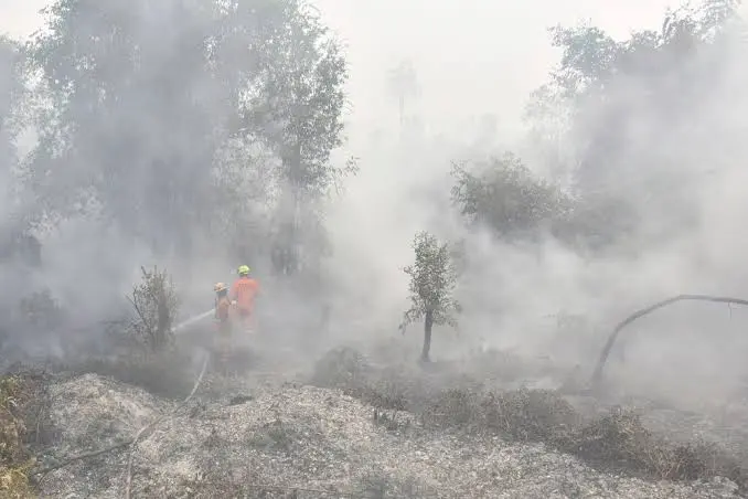Indonesia Haze Sickens Over 170,000