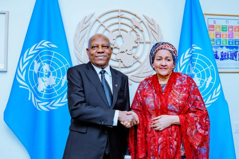 Shettima Reiterates Calls For UN Reform
