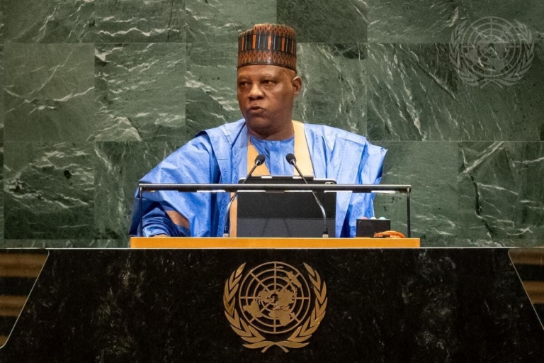 Seven Key Issues Nigeria Raised at UNGA