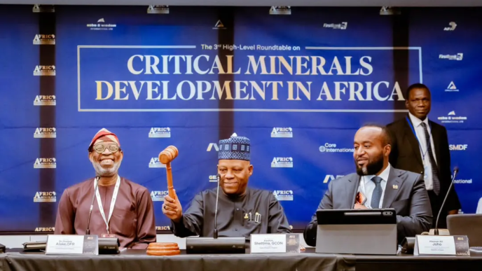 Tinubu Urges Africa To End Raw Mineral Exports (News Central T V)