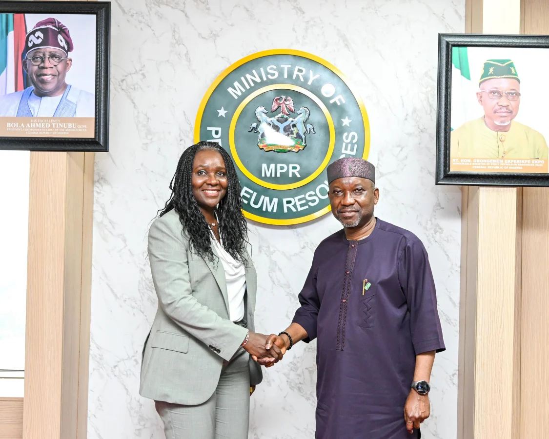 Nigeria to revoke idle gas-flaring licences (News Central TV)