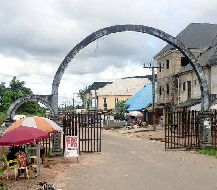 Nsokpo community urges Uzodimma to tackle insecurity (News Central TV)
