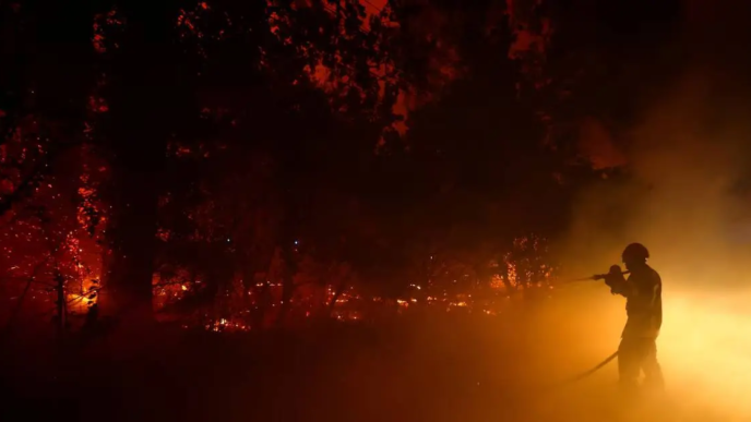 Historic French wildfire fully extinguished (News Central TV)