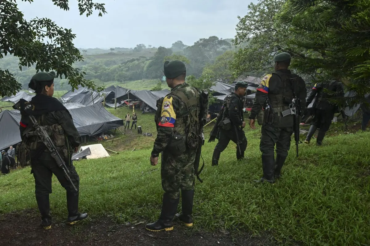 FARC-EMC encampment. Photo: AFP