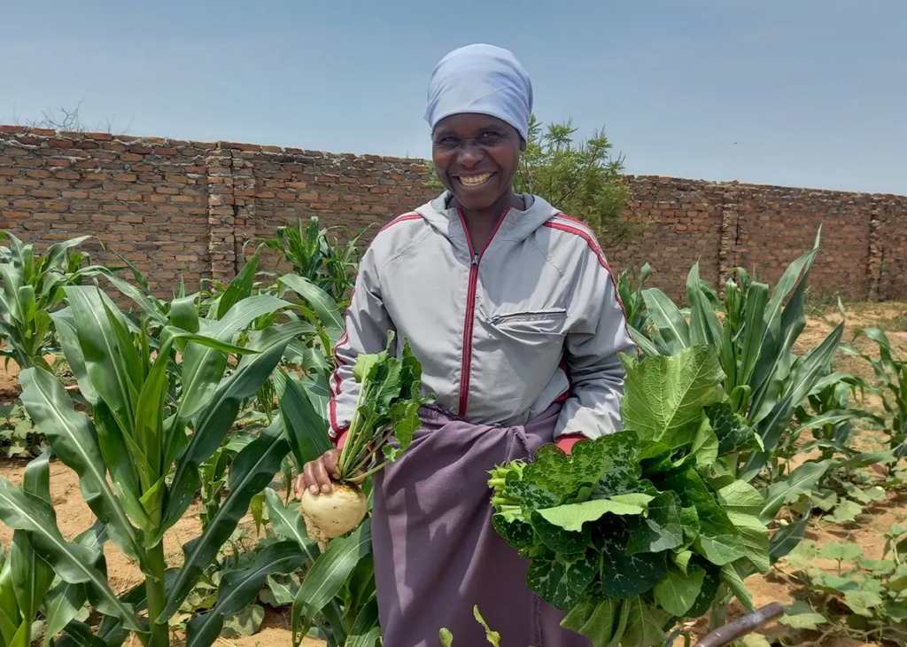 Zimbabwe Startup Builds App to Help Small Farmers Boost Yields (News Central TV)