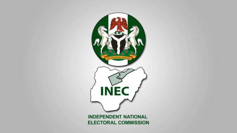 Steps to Check Your Name on INEC Voters Register