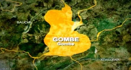 Solar grid ends 17-year Gombe blackout (News Central TV)