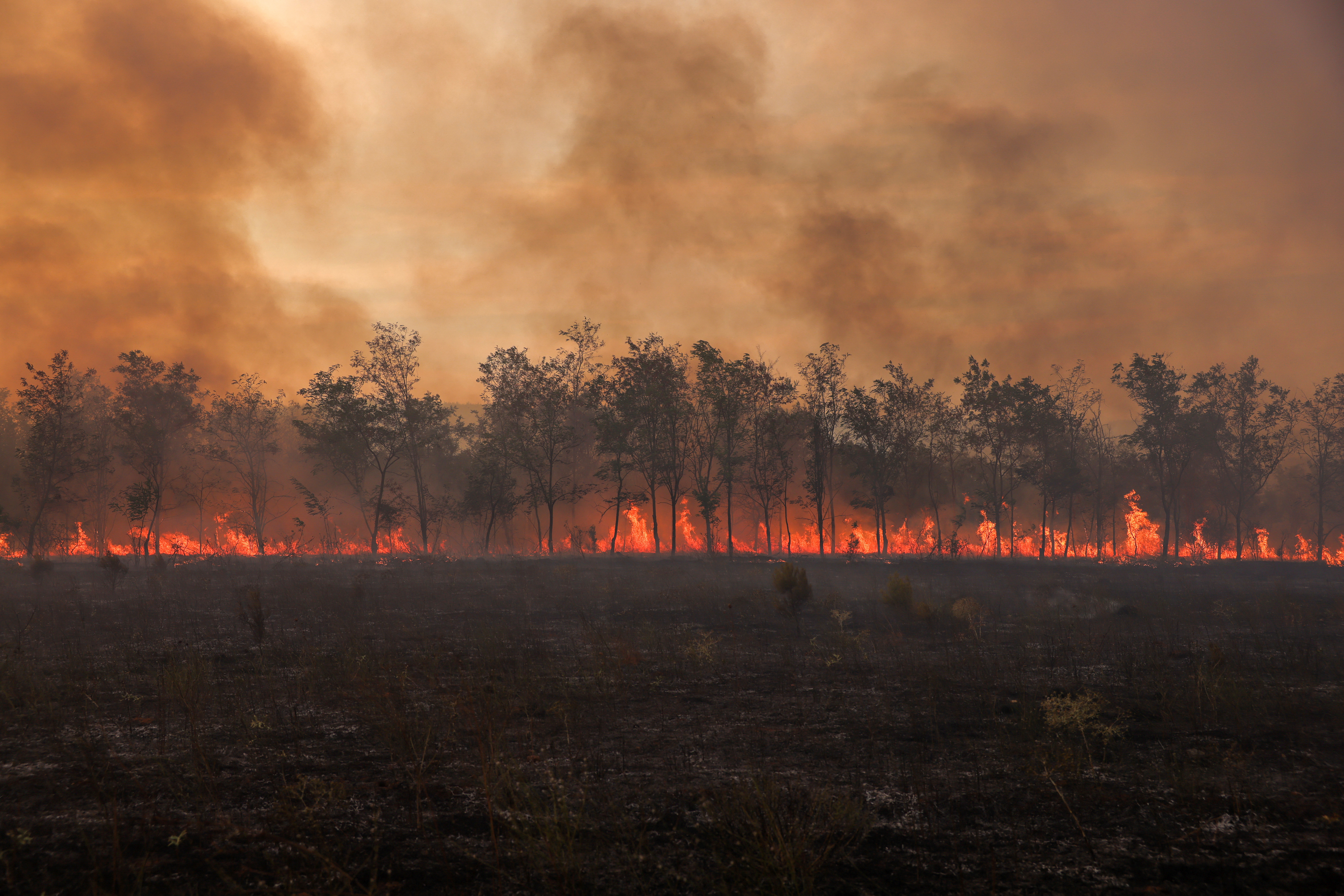 Lancet: Declare climate change a 'global health emergency' (News Central TV)