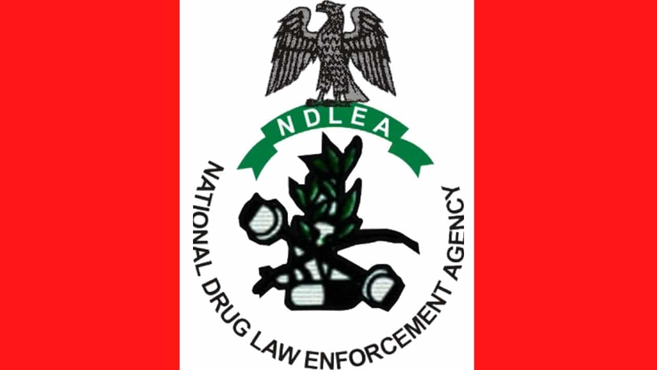 NDLEA says that drug test is free for Interior Ministry recruits (News Central TV)