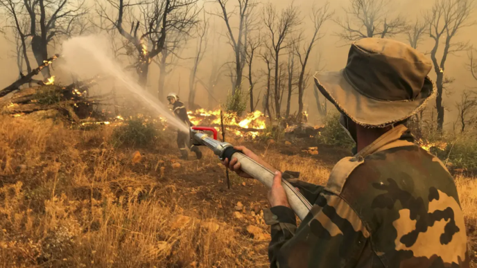 Algeria Extends Death Penalty to Forest Arsonists (News Central TV)