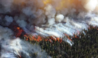 Lancet: Declare climate change a’global health emergency’ (News Central TV)