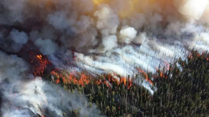 Lancet: Declare climate change a’global health emergency’ (News Central TV)