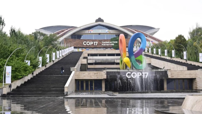 COP17 (NC)