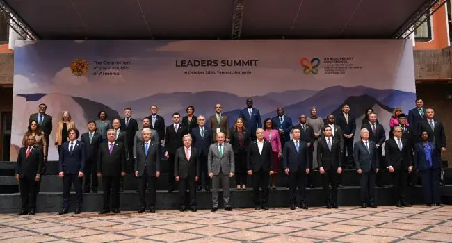 COP17