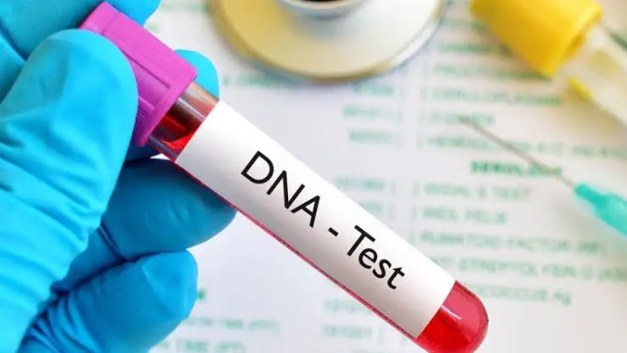 Okonkwo Warns DNA Tests Can Hurt Trust (NewsCentral TV)
