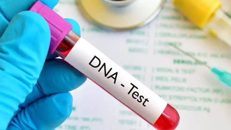 Okonkwo Warns DNA Tests Can Hurt Trust (NewsCentral TV)