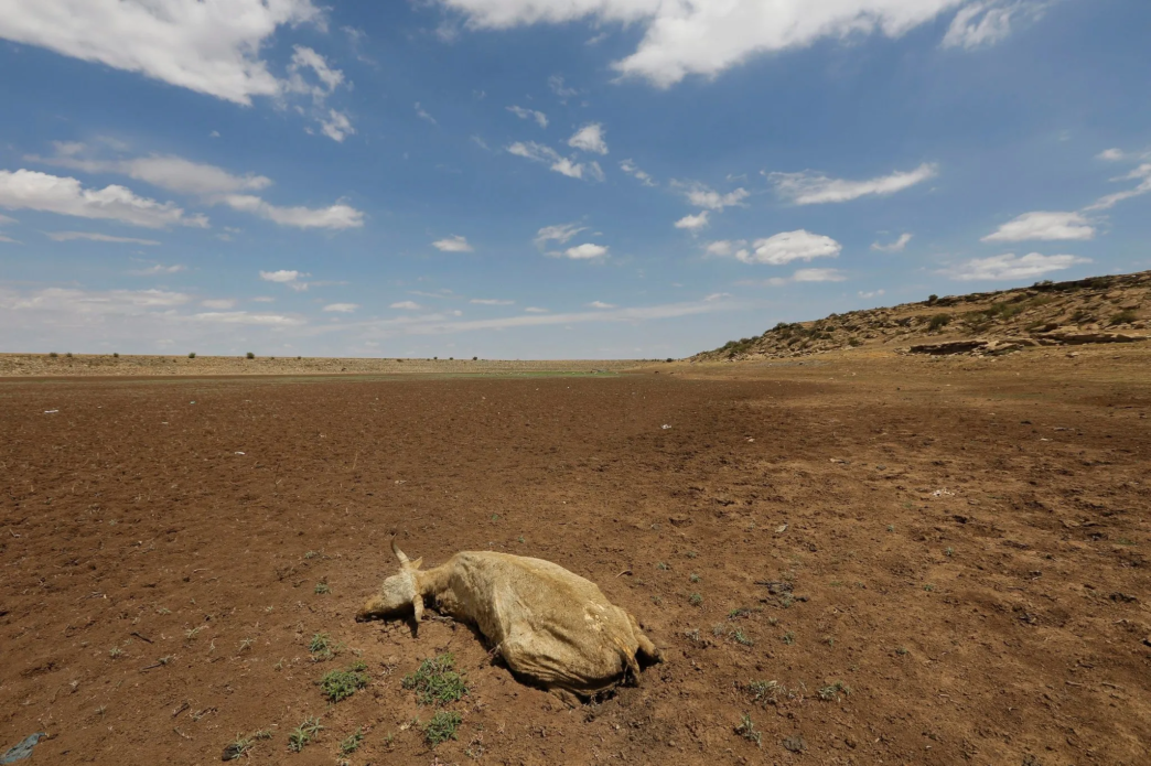 El Niño drought deepens Sudan famine risk (News Central TV)
