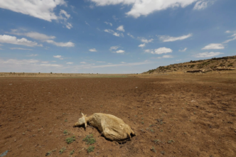 El Niño drought deepens Sudan famine risk (News Central TV)
