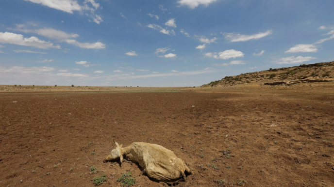 El Niño drought deepens Sudan famine risk (News Central TV)