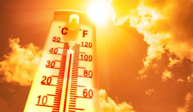 How to Cope With El Niño Heat, NEMA Tells Nigerians (News Central TV)