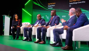 African Energy Week
