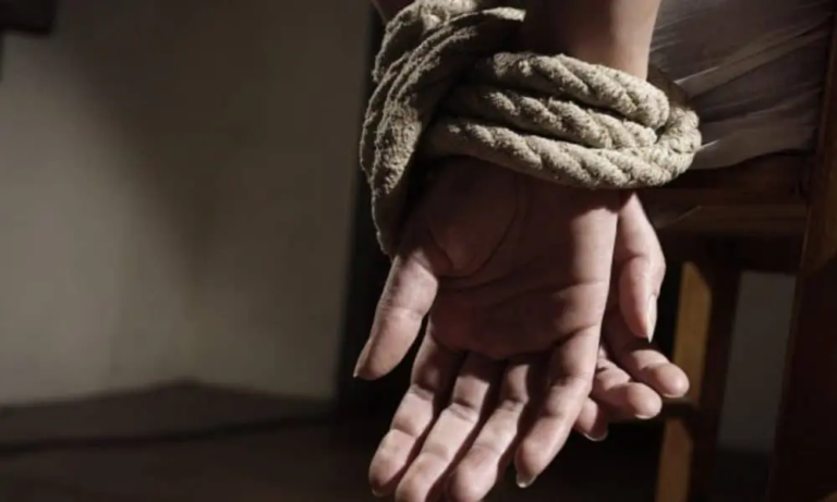 Two European Hostages Freed in Niger