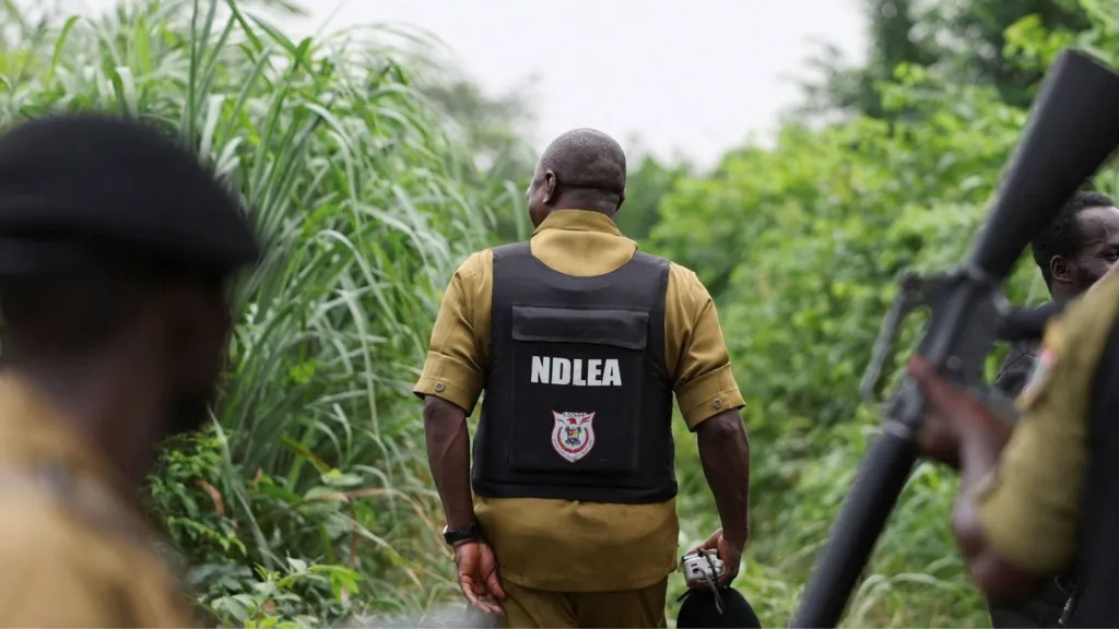 Mexican Cartels Eye Nigeria as Meth Production Hub – US(News Central TV)