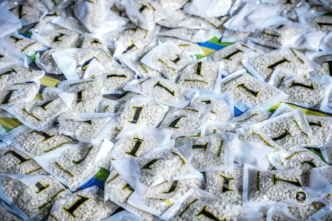 Libya's military seizes 1.3 million narcotics (News Central TV)