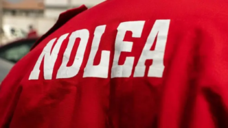 NDLEA says that drug test is free for Interior Ministry recruits (News Central TV)