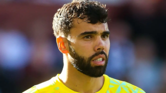 David Raya
