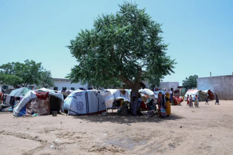 US, UK among 31 countries warning of 'alarming' Sudan famine