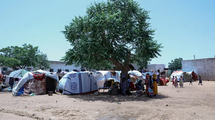 US, UK among 31 countries warning of 'alarming' Sudan famine