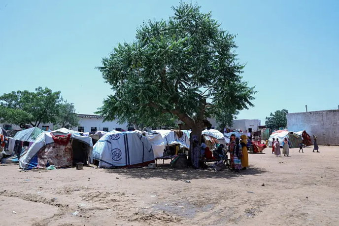 US, UK among 31 countries warning of 'alarming' Sudan famine