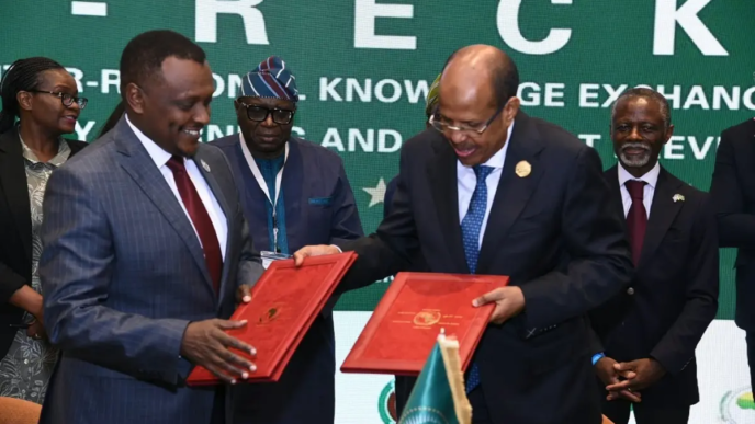 African Leaders Push for Greater Use of Local Capital