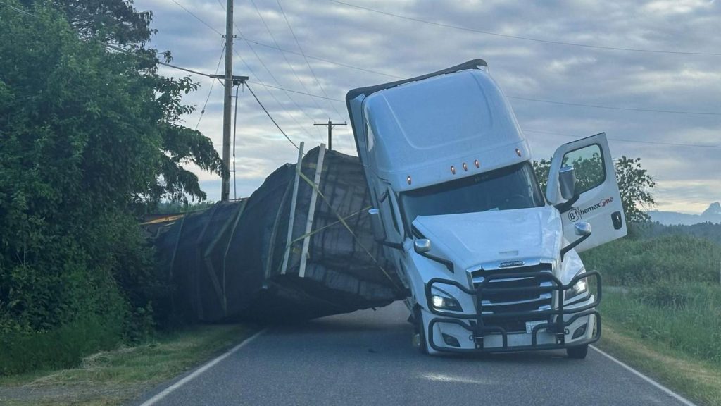 250 Million Bees Escape After US Lorry Crash, Police Warn Public