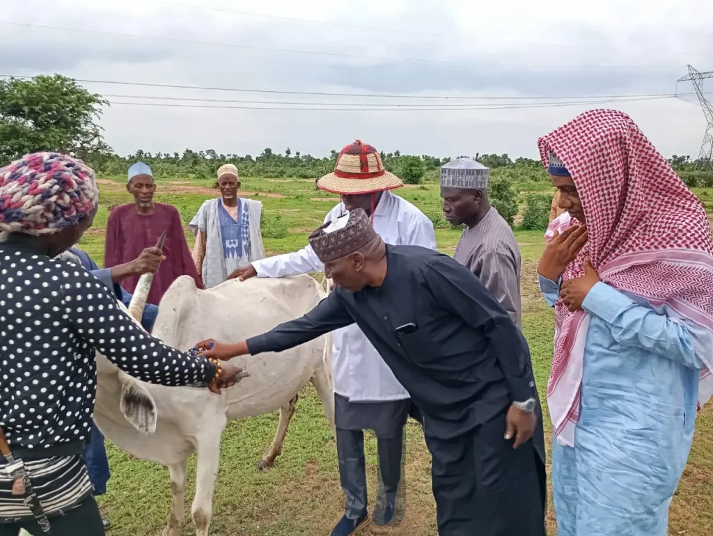 Adamawa State Initiates Widespread Cattle Vaccination to Combat Deadly Disease